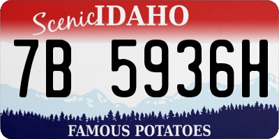 ID license plate 7B5936H