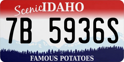 ID license plate 7B5936S