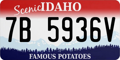ID license plate 7B5936V