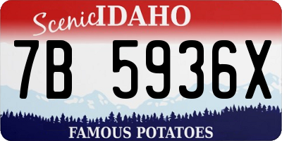 ID license plate 7B5936X