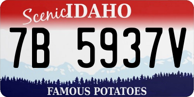 ID license plate 7B5937V