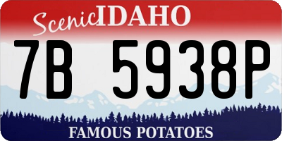ID license plate 7B5938P