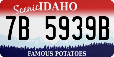 ID license plate 7B5939B