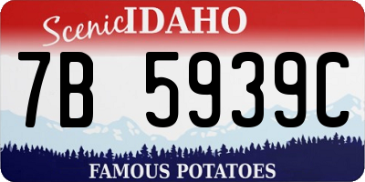 ID license plate 7B5939C