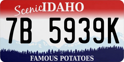 ID license plate 7B5939K