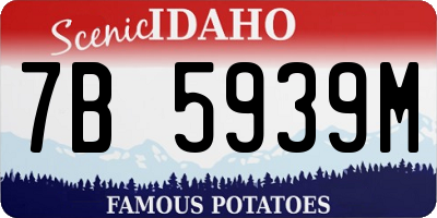 ID license plate 7B5939M