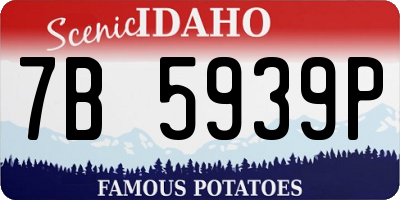 ID license plate 7B5939P