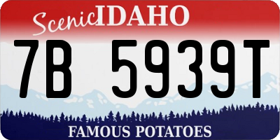 ID license plate 7B5939T