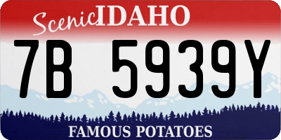ID license plate 7B5939Y