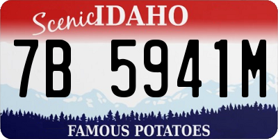 ID license plate 7B5941M