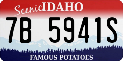 ID license plate 7B5941S