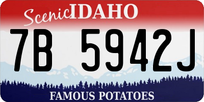 ID license plate 7B5942J