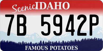 ID license plate 7B5942P