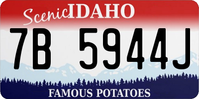 ID license plate 7B5944J