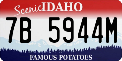 ID license plate 7B5944M