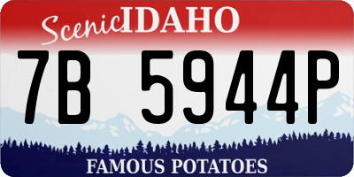 ID license plate 7B5944P