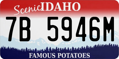 ID license plate 7B5946M