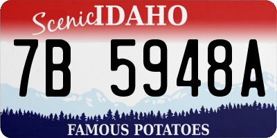 ID license plate 7B5948A