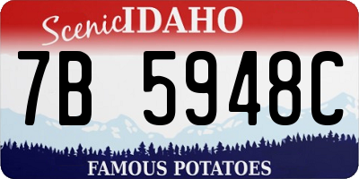 ID license plate 7B5948C