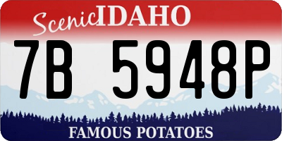 ID license plate 7B5948P