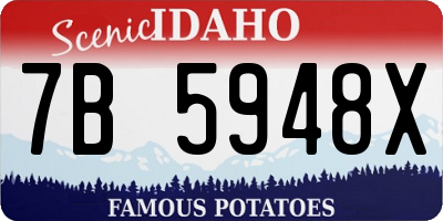 ID license plate 7B5948X