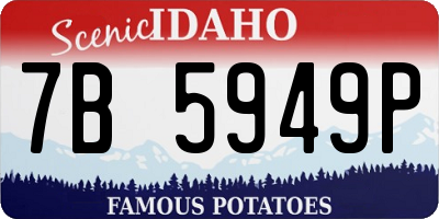 ID license plate 7B5949P