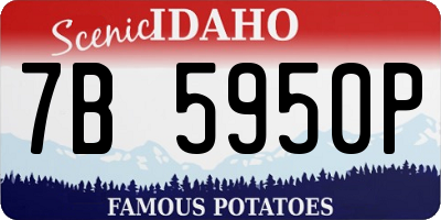 ID license plate 7B5950P