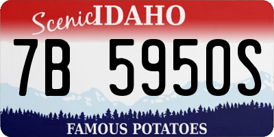 ID license plate 7B5950S