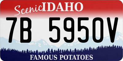 ID license plate 7B5950V