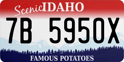 ID license plate 7B5950X