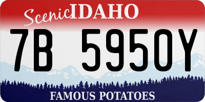 ID license plate 7B5950Y