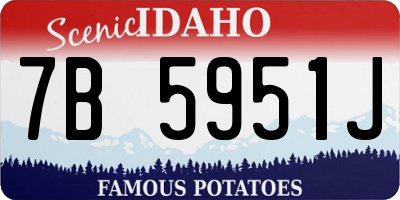 ID license plate 7B5951J