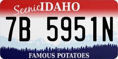 ID license plate 7B5951N