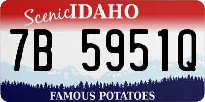 ID license plate 7B5951Q
