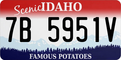 ID license plate 7B5951V