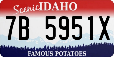 ID license plate 7B5951X