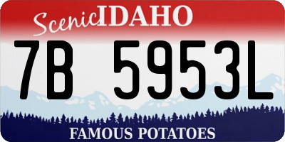 ID license plate 7B5953L