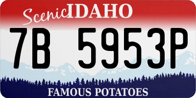 ID license plate 7B5953P