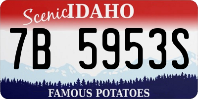 ID license plate 7B5953S