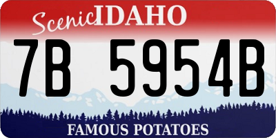 ID license plate 7B5954B