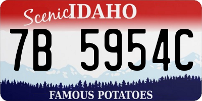 ID license plate 7B5954C