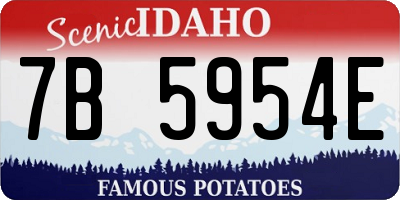 ID license plate 7B5954E
