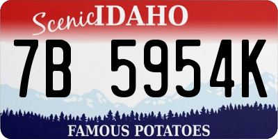 ID license plate 7B5954K