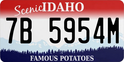 ID license plate 7B5954M