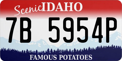 ID license plate 7B5954P