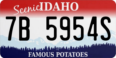 ID license plate 7B5954S