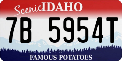 ID license plate 7B5954T