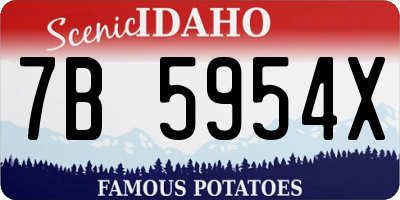 ID license plate 7B5954X
