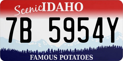ID license plate 7B5954Y