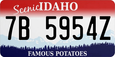 ID license plate 7B5954Z